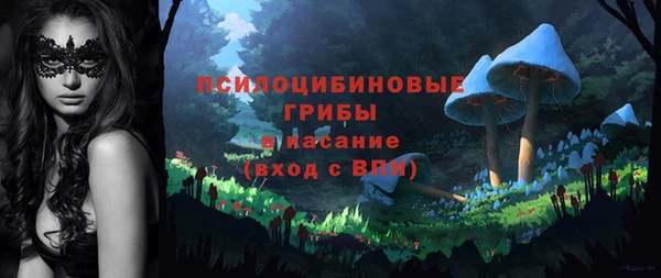 спиды Ачинск