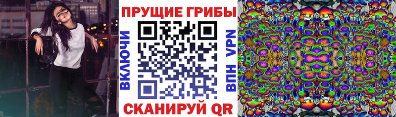 где купить наркоту  блэк спрут tor  Галлюциногенные грибы MAGIC MUSHROOMS  Артёмовск 